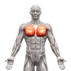 chest-removebg-preview